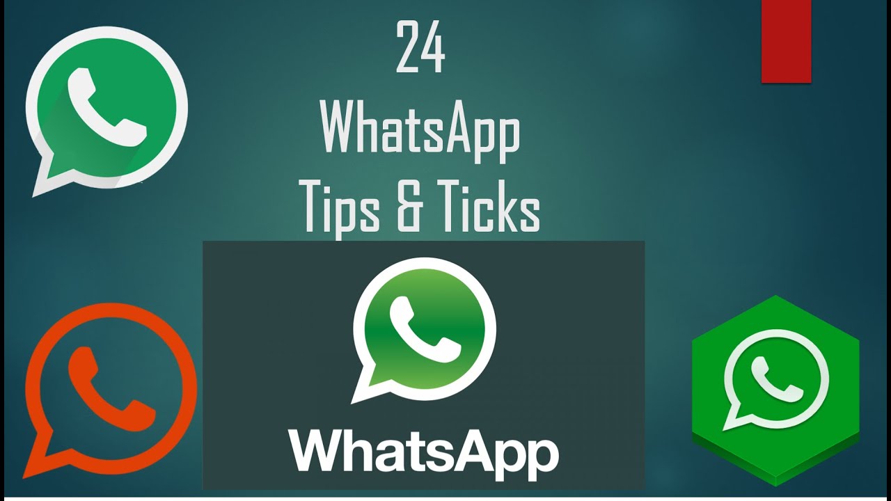 Whatsapp download for android mobile